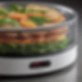 Close-up view of the Presto Dehydro Electric Food Dehydrator showcasing its sleek design