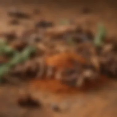 A close-up of a variety of spices used in ranch dry rub