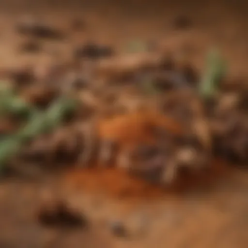 A close-up of a variety of spices used in ranch dry rub