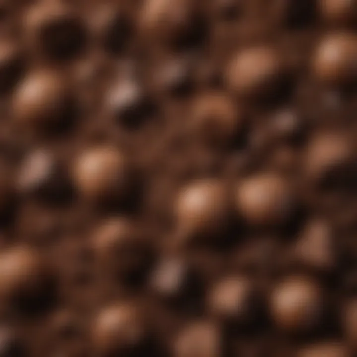 A close-up view of rich chocolate ingredients used in diet desserts