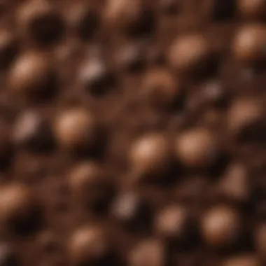 Rich Chocolate Ingredients for Diet Desserts A close-up view of rich chocolate ingredients used in diet desserts