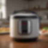 A premium rice cooker showcasing its sleek design and advanced features.