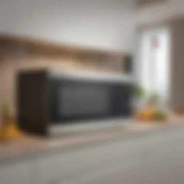 Kitchen environment showcasing the silent operation of a microwave