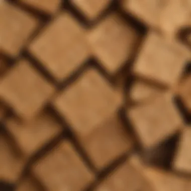 Graham Crackers: The Crunchy Base of S'mores Close-up of graham crackers showcasing their texture and color