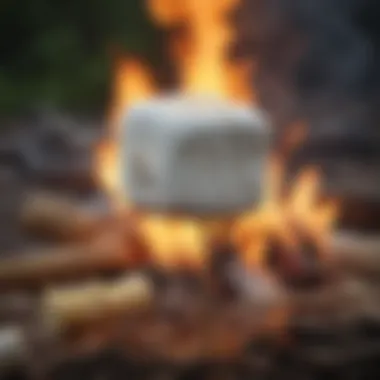 Marshmallows: The Sweet, Fluffy Centerpiece Golden-brown marshmallows on a stick over a campfire
