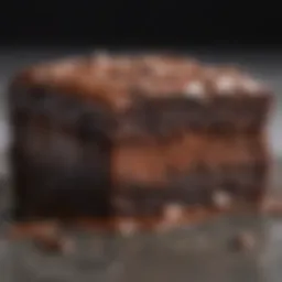Decadent close-up of Sonic Chocolate Brownie Blast showcasing glossy chocolate finish