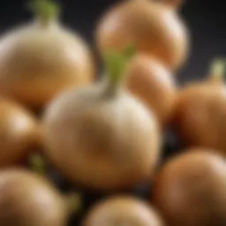 A close-up of sweet onions showcasing their rich layers.