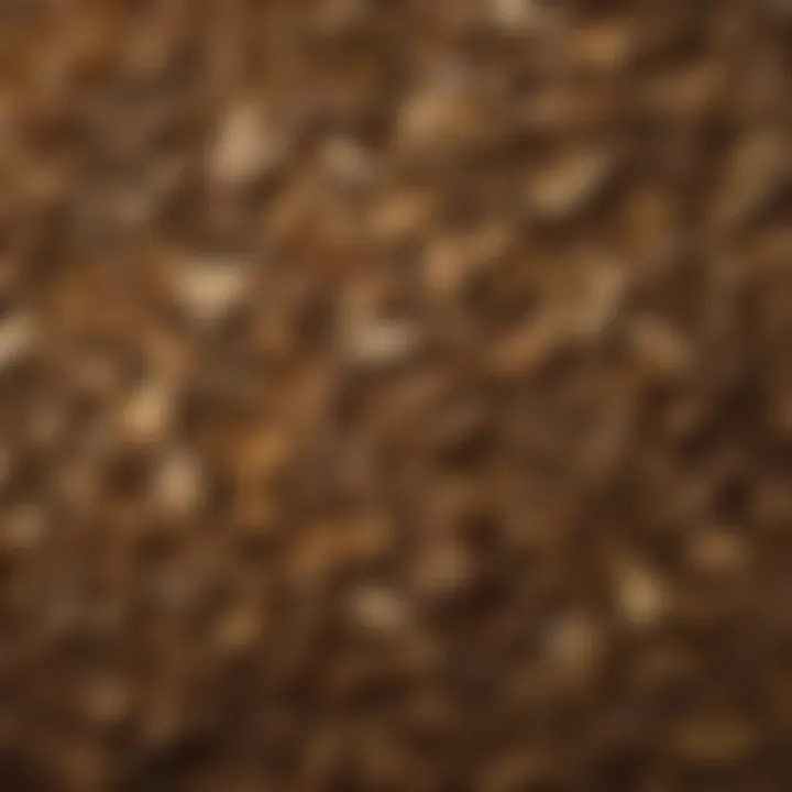 Close-up of dried tea leaves featuring the aromatic blend of White Ginger Pear