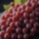 A close-up of ripe grapes ready for harvesting