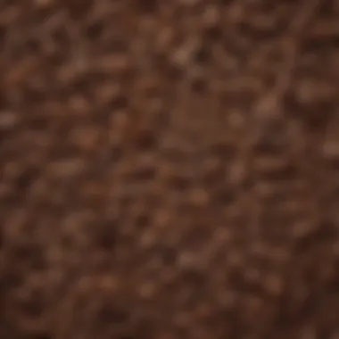 Variety of coffee beans in different textures