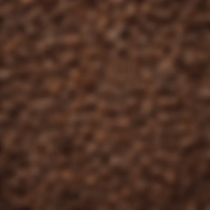 Variety of coffee beans in different textures