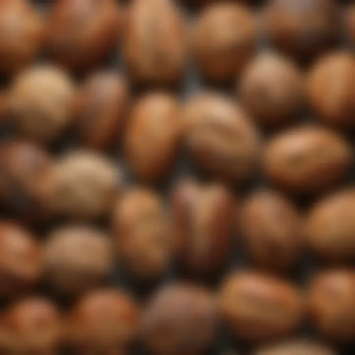 An array of different bread types made using Le Creuset cookware