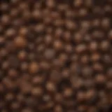 A close-up view of high-quality espresso beans showcasing their rich textures and colors.