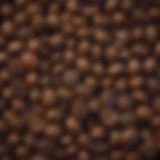 A close-up view of high-quality espresso beans showcasing their rich textures and colors.
