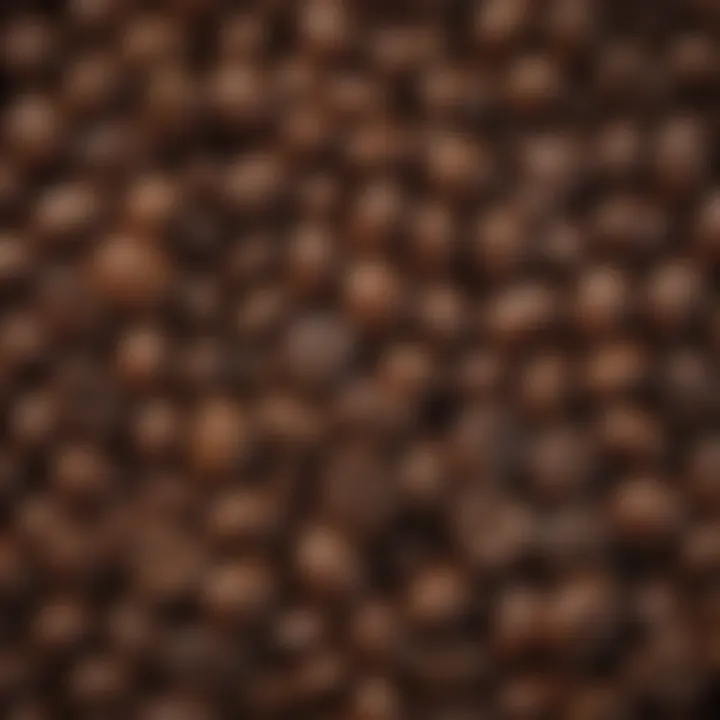 A close-up view of high-quality espresso beans showcasing their rich textures and colors.