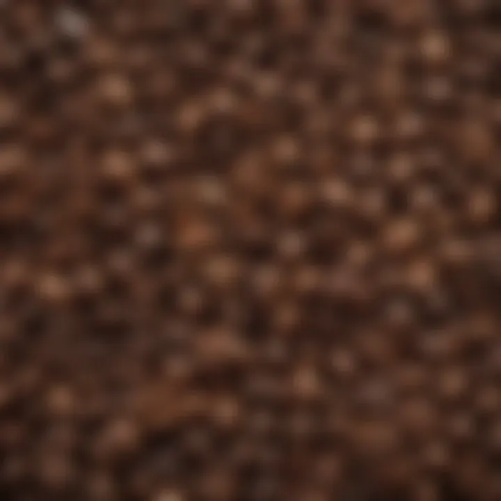An array of various espresso beans from different regions, emphasizing their unique characteristics.