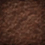 A vibrant display of coffee beans from various origins