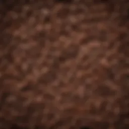 A vibrant display of coffee beans from various origins