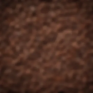 A vibrant display of coffee beans from various origins