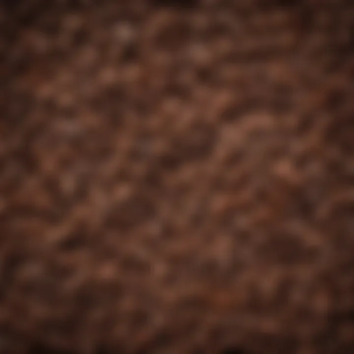 A vibrant display of coffee beans from various origins