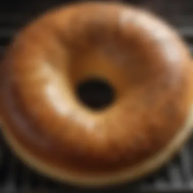 Close-up of a perfectly toasted bagel in a toaster oven