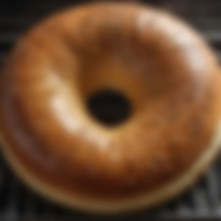 Close-up of a perfectly toasted bagel in a toaster oven