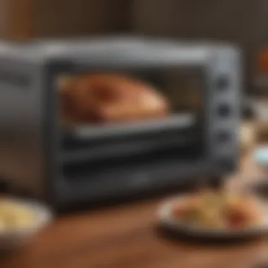 Diverse Culinary Creations from a Toaster Oven Variety of dishes prepared using a toaster oven