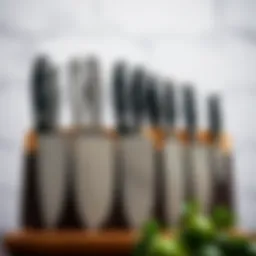 A beautifully arranged paring knife set showcasing various blade styles.