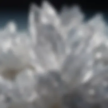 Fleur de Sel Crystals Close-up of fleur de sel crystals glistening in sunlight