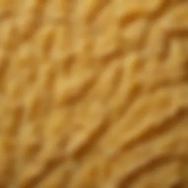 A close-up view of authentic Parmesan cheese showcasing its texture and color