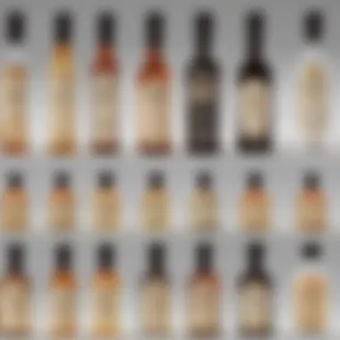 A visually appealing infographic illustrating the distinctions between vanilla extract types