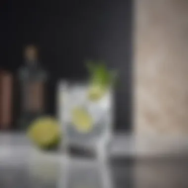 Elegant Gin Tonic Against a Stylish Backdrop An elegant glass of gin tonic against a stylish backdrop