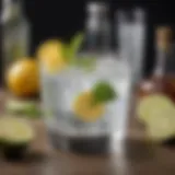 A refreshing gin tonic with botanical garnishes