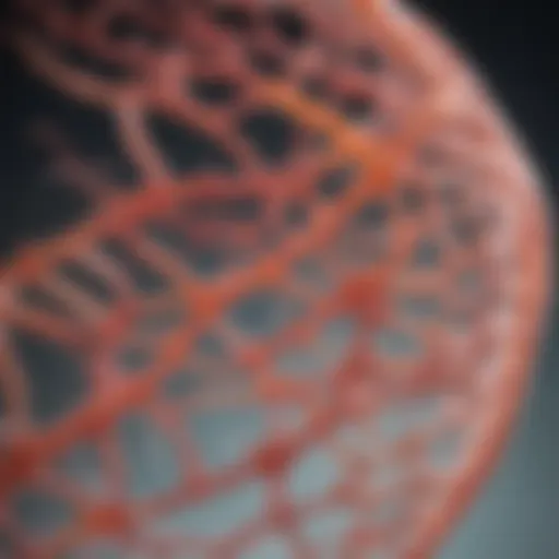 Scientific illustration of collagen structure