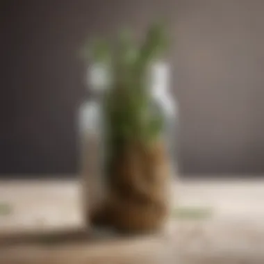 Dried rosemary in a glass jar