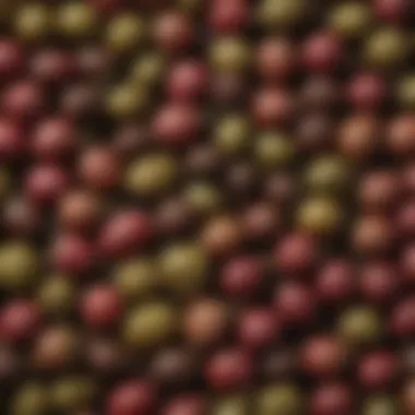 Caperberries vs. Capers: A Visual Comparison Caperberries alongside capers for comparison