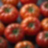 Close-up of fresh tomatoes showcasing their vibrant color and texture