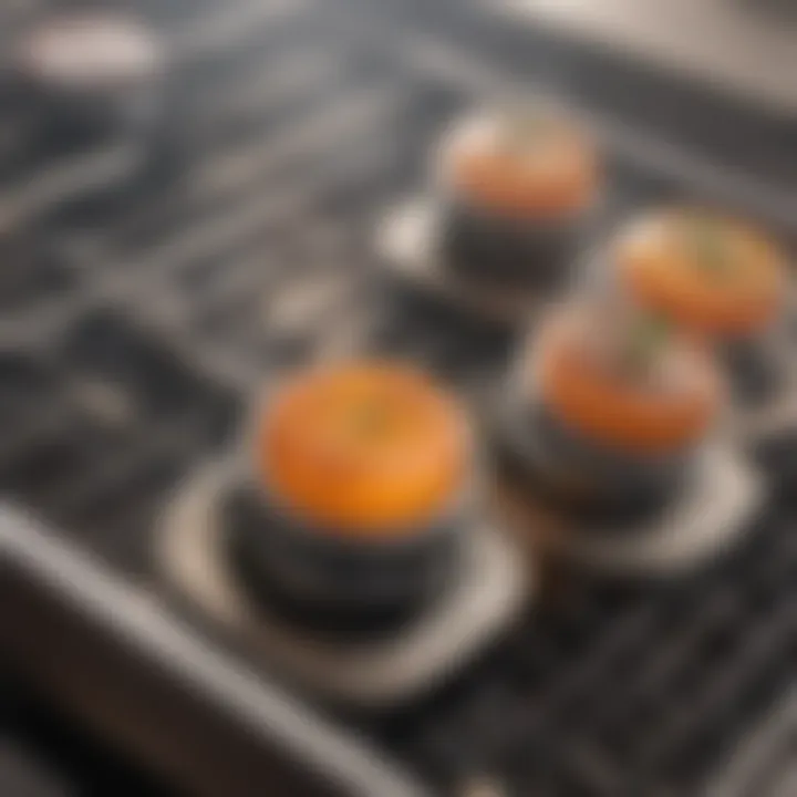 Different types of grill thermostats displayed