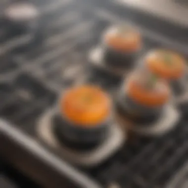 Exploring Varieties of Grill Thermostats Different types of grill thermostats displayed