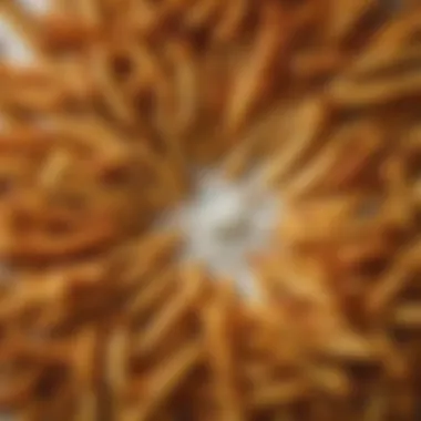 Close-up of the seasoning sprinkled on Sonic fries