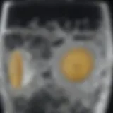 Soda water in a crystal clear glass with bubbles
