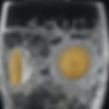 The Sparkling Essence of Soda Water Soda water in a crystal clear glass with bubbles