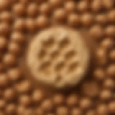 Chemical structure of healthy fats in peanut butter