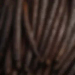 Close-up view of Bourbon vanilla beans showcasing their rich texture and color.