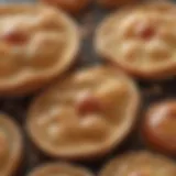 Microscopic view of yeast cells