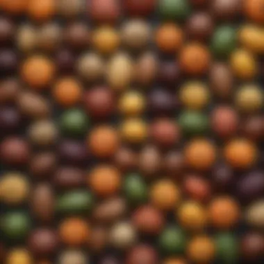 Collection of Rare Seeds A collection of rare seeds in decorative packaging, perfect for plant enthusiasts