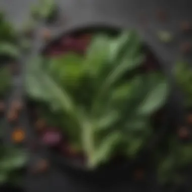 Leafy Greens for Gut Wellness Fresh variety of leafy greens known for their digestive benefits
