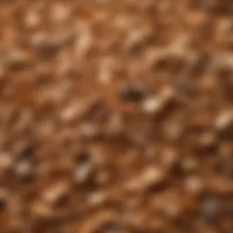 Different types of wood chips for barbecue grilling
